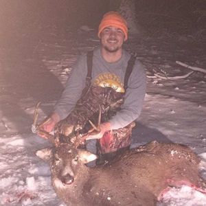 Meet your Posher, Gregory